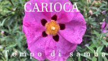Carioca