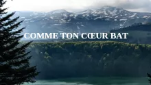 COMME TON CŒUR BAT