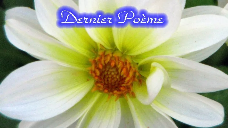 Dernier Poeme