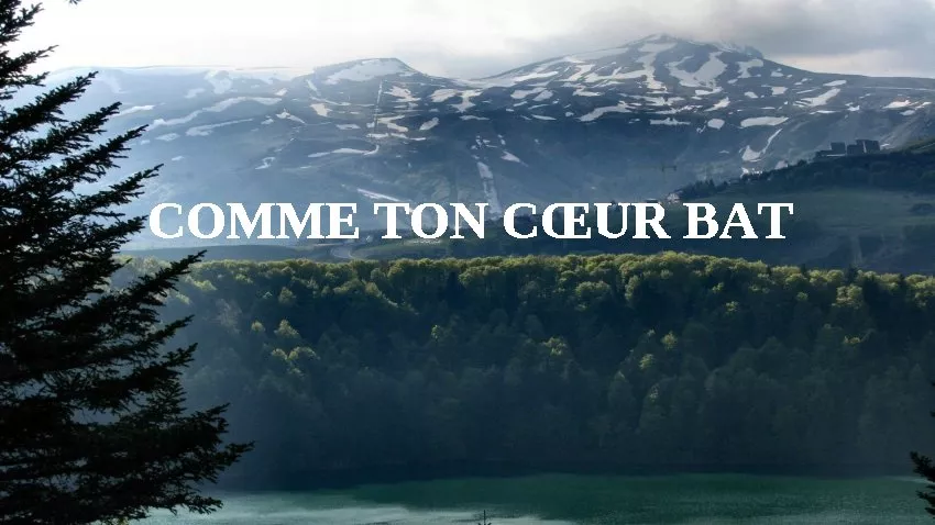 COMME TON CŒUR BAT